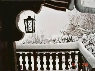 Le Petit Renard Vex