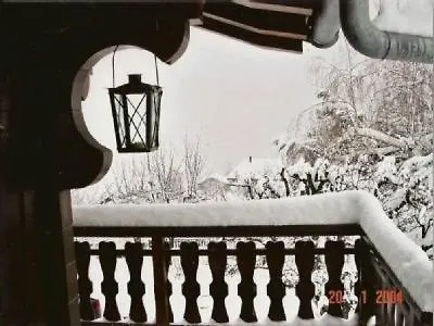Le Petit Renard Vex